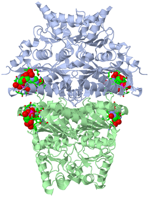 Image Biol. Unit 1 - sites