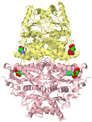 Image Biological Unit 2