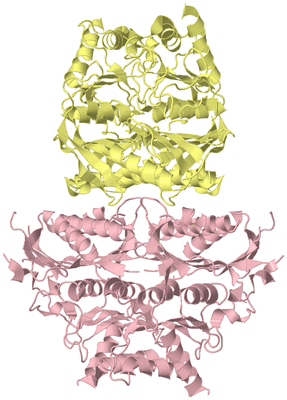 Image Biological Unit 2