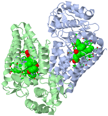 Image Asym./Biol. Unit - sites