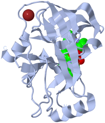 Image Biological Unit 1