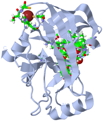 Image Biol. Unit 1 - sites