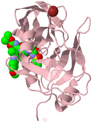 Image Biological Unit 3