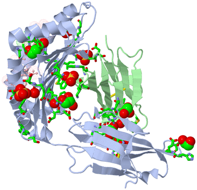 Image Biol. Unit 1 - sites