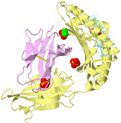 Image Biological Unit 2