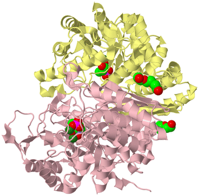 Image Biological Unit 2