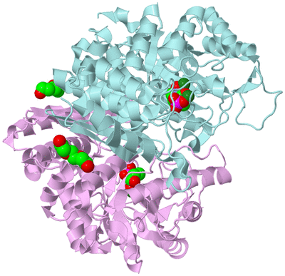 Image Biological Unit 3