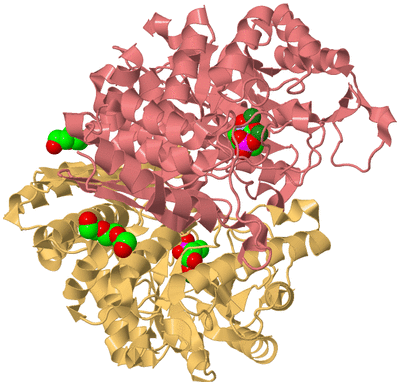 Image Biological Unit 4