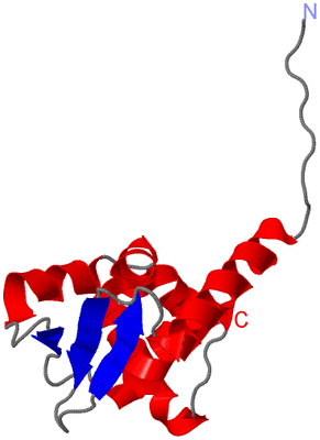 Image Asymmetric Unit