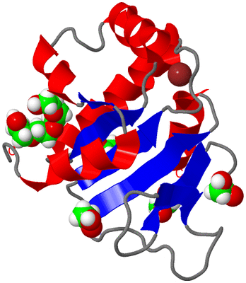 Image Asym./Biol. Unit