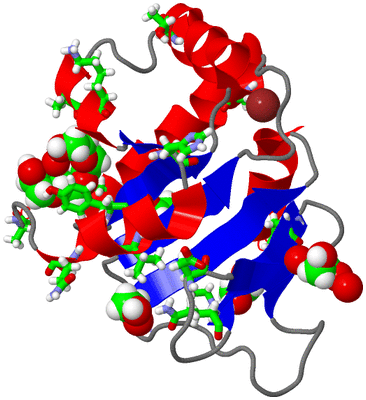 Image Asym./Biol. Unit - sites