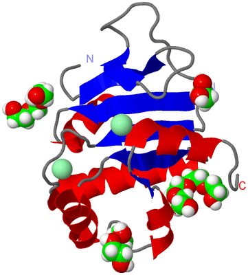 Image Asym./Biol. Unit