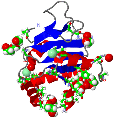 Image Asym./Biol. Unit - sites