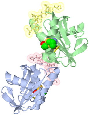Image Asymmetric Unit