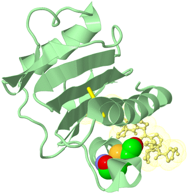 Image Biological Unit 2