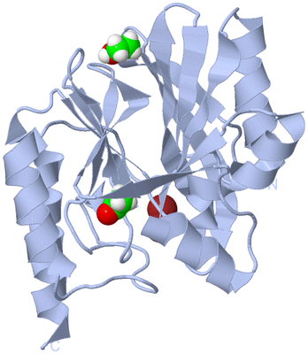 Image Biological Unit 1