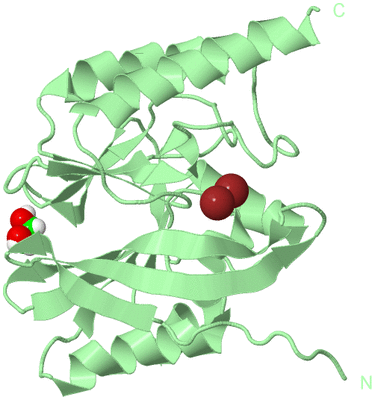 Image Biological Unit 2