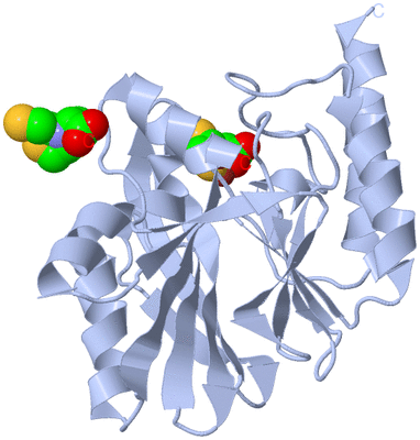 Image Biological Unit 1