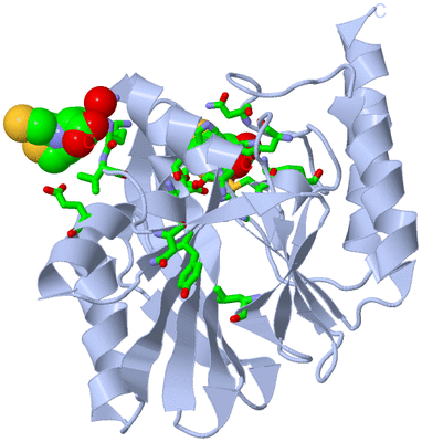 Image Biol. Unit 1 - sites