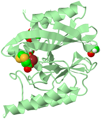 Image Biological Unit 2