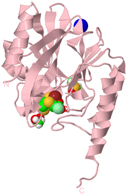 Image Biological Unit 3