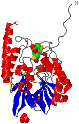 Image Asym./Biol. Unit