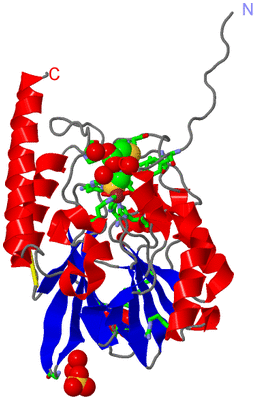 Image Asym./Biol. Unit - sites