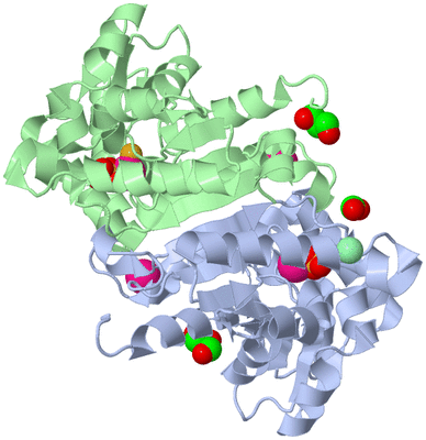 Image Asym./Biol. Unit