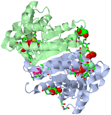 Image Asym./Biol. Unit - sites