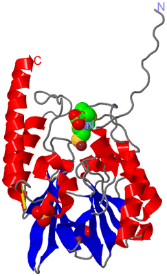 Image Asym./Biol. Unit