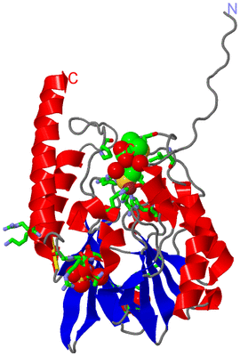 Image Asym./Biol. Unit - sites