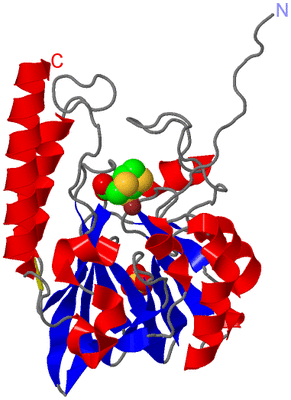 Image Asym./Biol. Unit