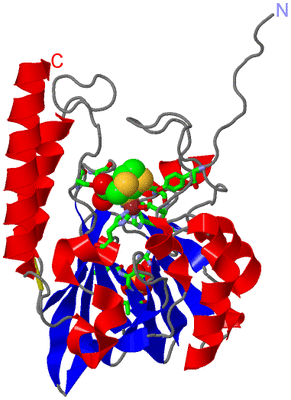 Image Asym./Biol. Unit - sites