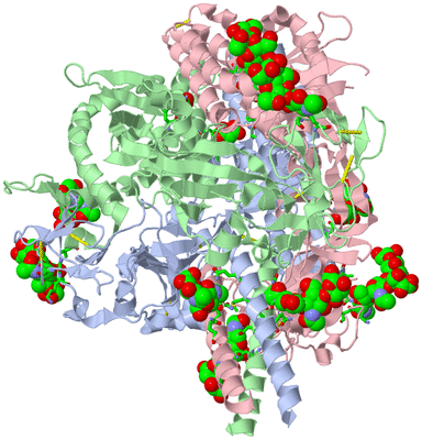 Image Biol. Unit 1 - sites