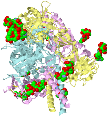 Image Biological Unit 2