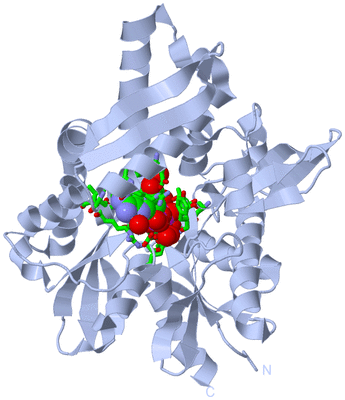 Image Biol. Unit 1 - sites