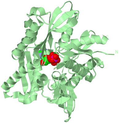 Image Biological Unit 2