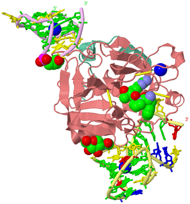 Image Asym./Biol. Unit