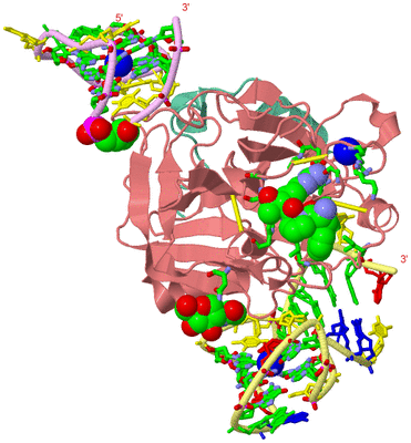 Image Asym./Biol. Unit - sites