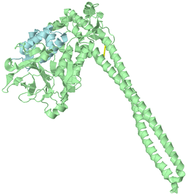 Image Biological Unit 2