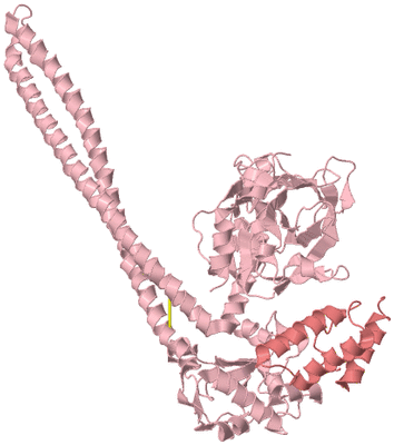 Image Biological Unit 3