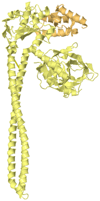 Image Biological Unit 4