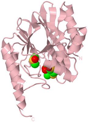 Image Biological Unit 3