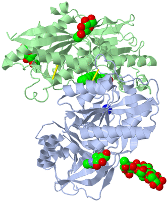 Image Biological Unit 1