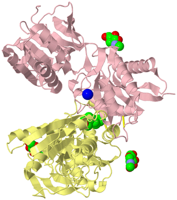 Image Biological Unit 2