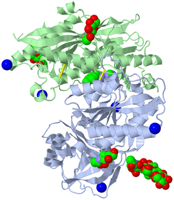 Image Biological Unit 1