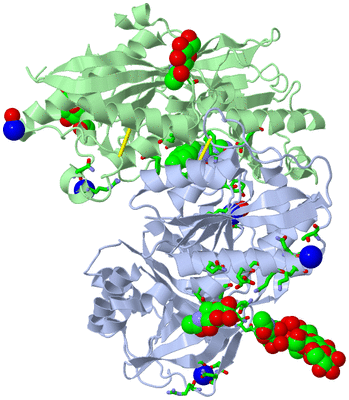 Image Biol. Unit 1 - sites