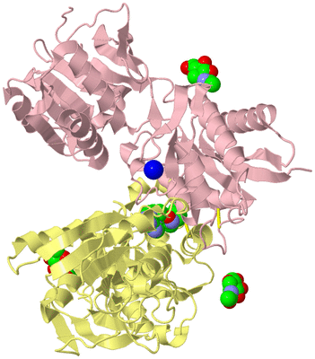 Image Biological Unit 2