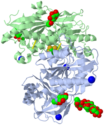 Image Biological Unit 1