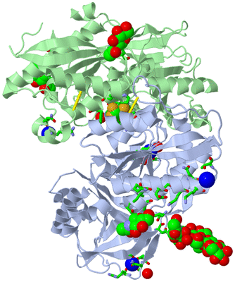 Image Biol. Unit 1 - sites